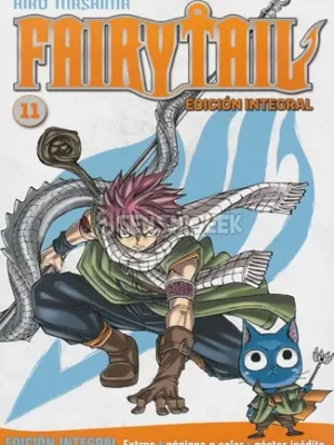 fairy tail integral 11