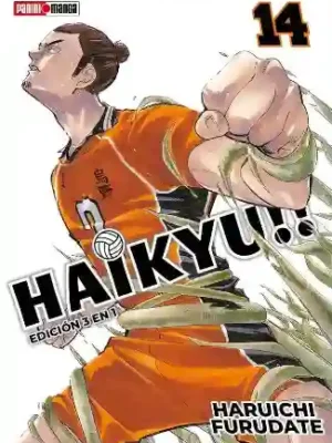 Haikyu!! #14 (Edición 3 En 1)(Panini Mx)