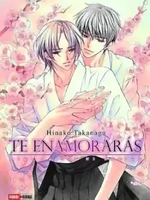 Te Enamorarás (Panini Mx)