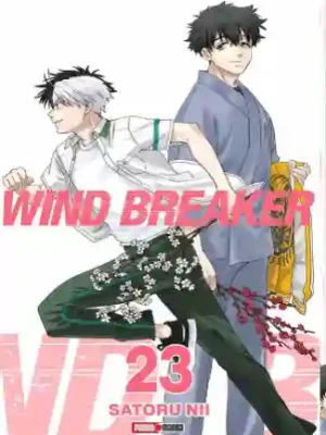 WIND BREAKER N.23 (PANINI MX)