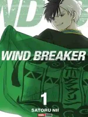 WIND BREAKER N.01 VARIANTE (PANINI MX)