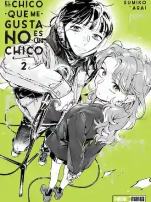 EL CHICO QUE ME GUSTA NO ES UN CHICO N.02 (PANINI ES)