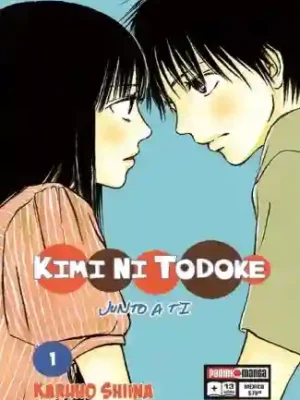 KIMI NI TODOKE