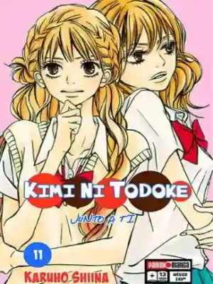 KIMI NI TODOKE N.11 (PANINI MX)