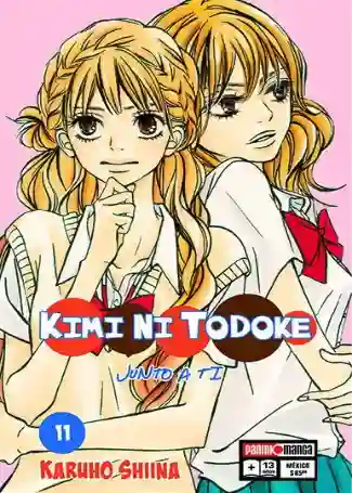 KIMI NI TODOKE N.11 (PANINI MX)