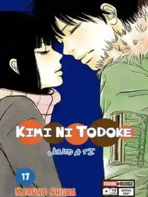 KIMI NI TODOKE N.17 (PANINI MX)