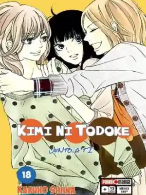 KIMI NI TODOKE N.18 (PANINI MX)