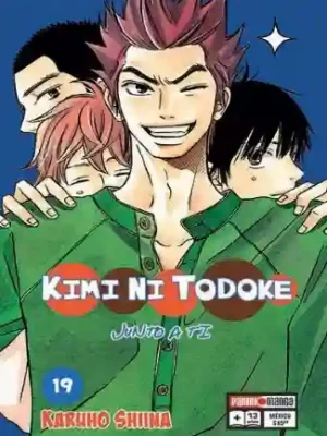 KIMI NI TODOKE N.19 (PANINI MX)