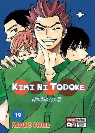 KIMI NI TODOKE N.19 (PANINI MX)