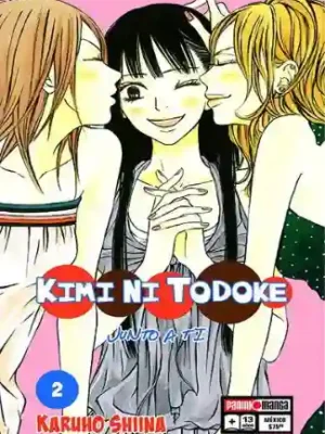 KIMI NI TODOKE N.02 (PANINI MX)