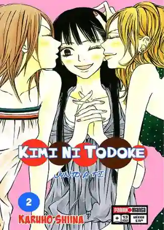 KIMI NI TODOKE N.02 (PANINI MX)