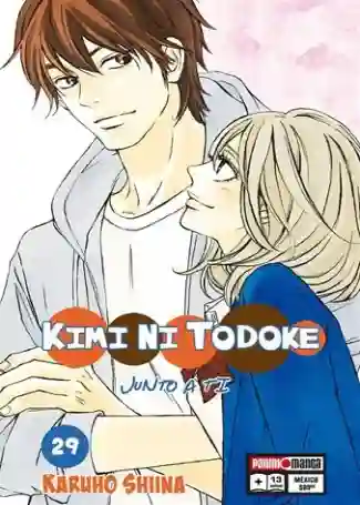 KIMI NI TODOKE N.29 (PANINI MX)