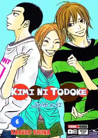 KIMI NI TODOKE N.06 (PANINI MX)