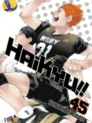 HAIKYU!! N.45 (IVREA ARG)