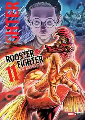 ROOSTER FIGHTER N.11 (PANINI MX)