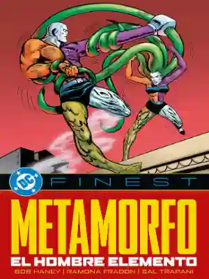 METAMORFO: EL HOMBRE ELEMENTO (PANINI ES)